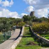 Usciamo dalla villa e proseguiamo sulla destra lungo un vialetto: ed ecco che tra gli alberi vediamo spuntare un�alta costruzione...